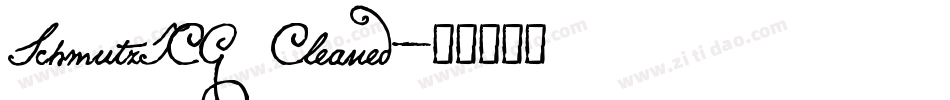 SchmutzICG Cleaned字体转换